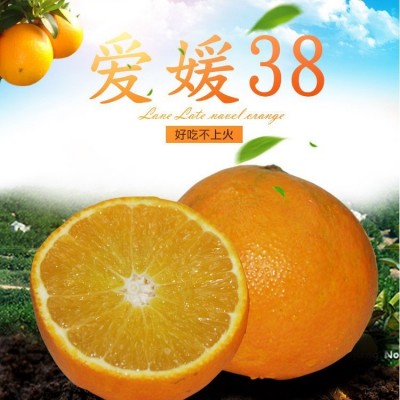 四川爱媛38号果冻橙9斤新鲜当季橙子水果柑橘蜜桔手剥橙大果包邮