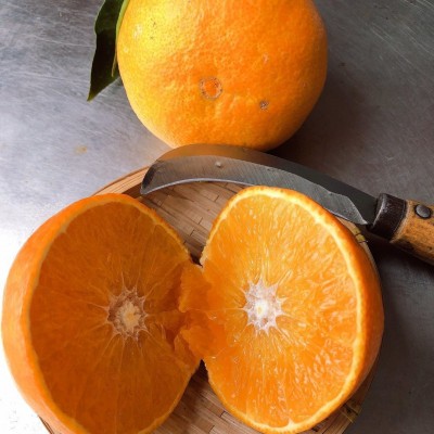 四川爱媛38号果冻橙9斤新鲜当季橙子水果柑橘蜜桔手剥橙大果包邮图3