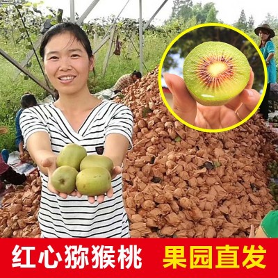 正宗四川红心猕猴桃30枚奇异果新鲜水果孕妇当季弥猴桃整箱包邮