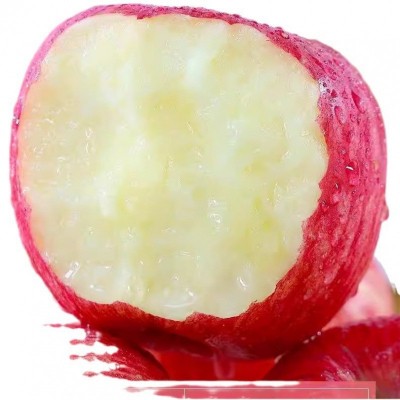 烟台红富士苹果斤应当季新鲜水果整箱山东栖霞脆甜冰糖心丑平果图5