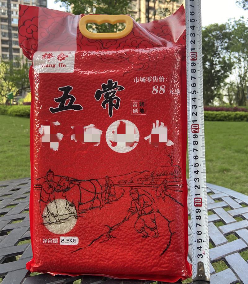 一键复制_20220226191249