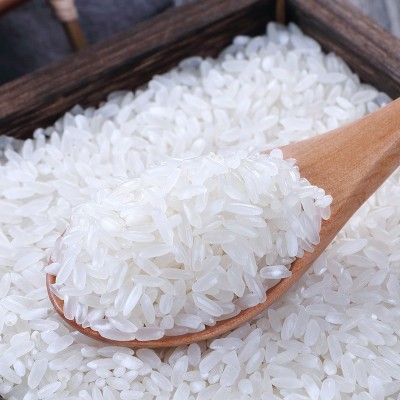 柴火大院 东北五常大米5kg10斤一年一季 批发一件代发图2