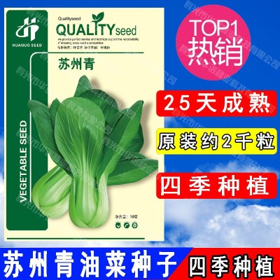 四季小青菜白菜苏州青油菜快菜籽种 华诺苏州青油菜种子 原装10克