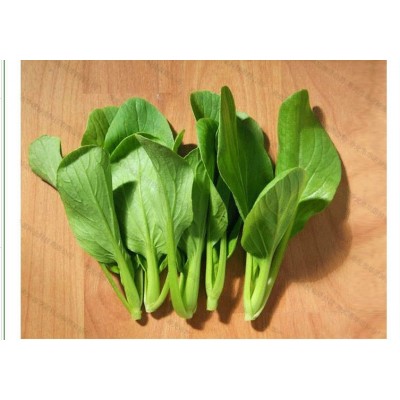 四季小青菜白菜苏州青油菜快菜籽种 华诺苏州青油菜种子 原装10克图5