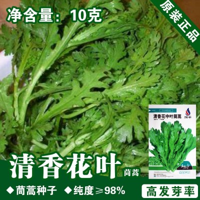 茼蒿种子茼蒿籽蔬菜种子批发菜种菜籽菜种子公司四季播种