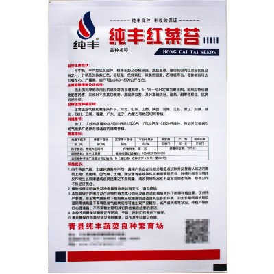 红菜苔种子红菜苔籽四季蔬菜孑菜籽广东菜种红菜心油菜薹籽种图3