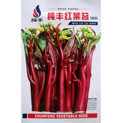 红菜苔种子红菜苔籽四季蔬菜孑菜籽广东菜种红菜心油菜薹籽种图2