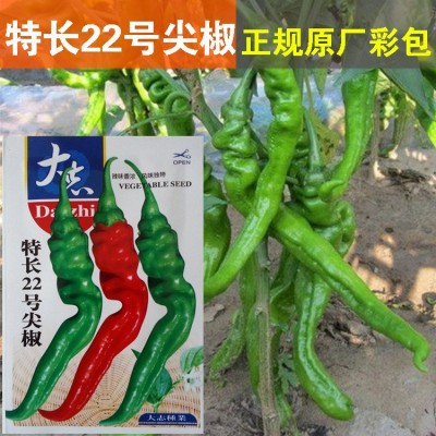 辣椒种子辣椒籽长尖椒种子蔬菜种子批发菜种菜籽菜种子公司四季播
