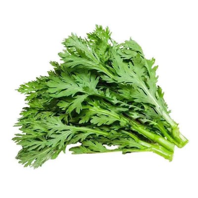 皇帝菜中叶茼蒿种子青菜种子菜种茼蒿菜种籽种四季蔬菜孑菜籽图5