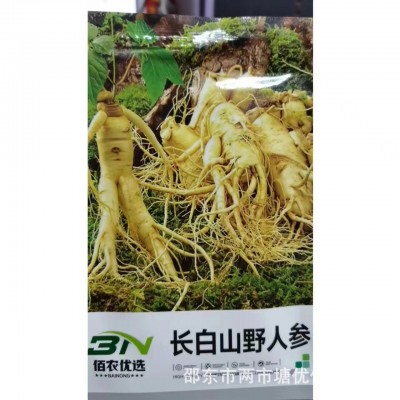 人参种子籽长白山百草之王人参籽种长白山人参种子正宗长白山种籽图5