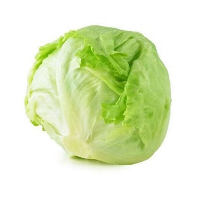 结球生菜种子圆生菜春夏秋四季播生菜种子/球菜种子球生菜生菜籽图4