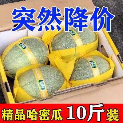 哈密瓜新疆爆甜薄皮新疆哈密瓜直发包邮一整箱礼盒装包邮图2