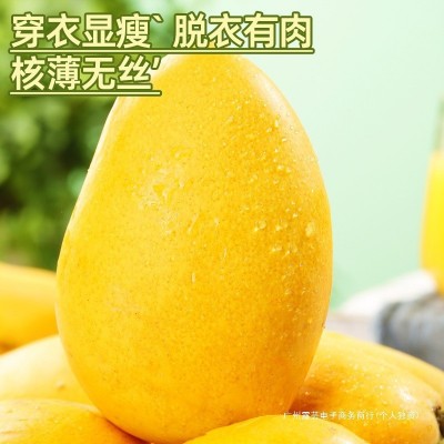 海南小台农芒果10斤新鲜现摘小台芒应当季热带水果特产芒果包邮5