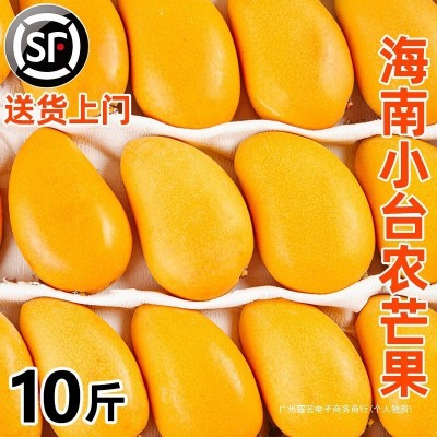 海南小台农芒果10斤新鲜现摘小台芒应当季热带水果特产芒果包邮5图2