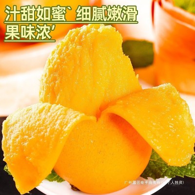 海南小台农芒果10斤新鲜现摘小台芒应当季热带水果特产芒果包邮5图5