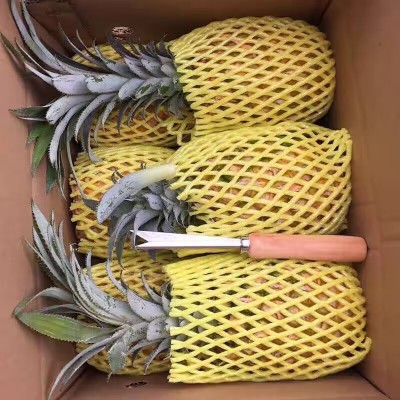 新鲜大菠萝特大果个金钻糖心当季热带水果蔬果图4
