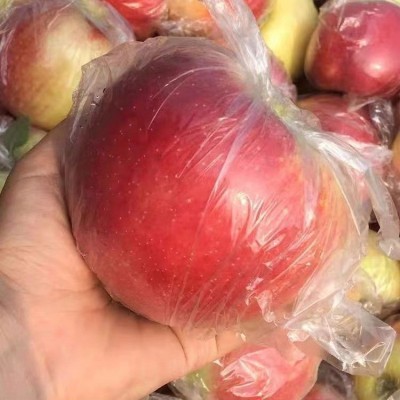 现摘陕西苹果新鲜水果当季10/5斤一整箱高山丑批发直供跨境图3