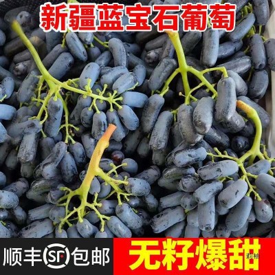 蓝宝石葡萄金手指美人指葡萄新鲜水果无籽葡萄黑提子批发商用包邮图2