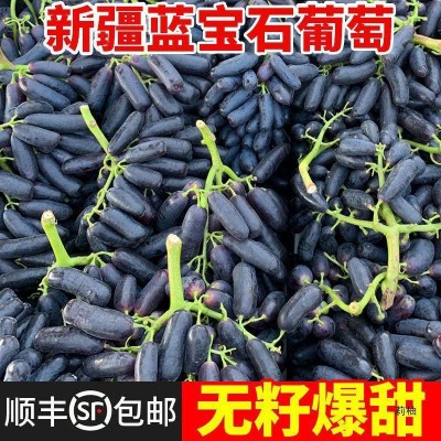 蓝宝石葡萄金手指美人指葡萄新鲜水果无籽葡萄黑提子批发商用包邮图3