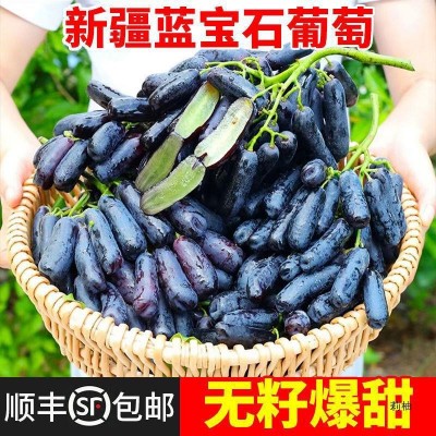 蓝宝石葡萄金手指美人指葡萄新鲜水果无籽葡萄黑提子批发商用包邮图5