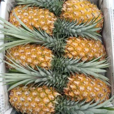 10斤整箱包邮新鲜香水大果蜜香脆甜爽手撕图3