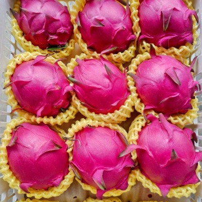 5斤包邮红心火龙果红肉新鲜应季热带水果批发