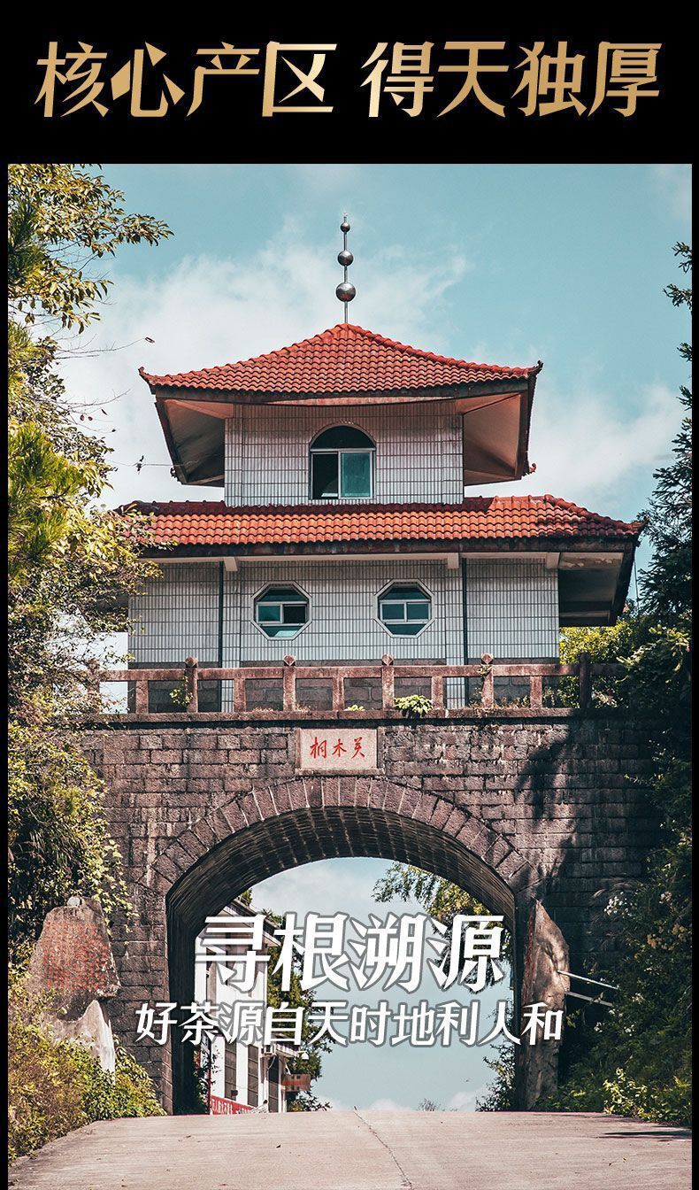 99c3497e-b260-46ce-87fa-b4c46c61cbee.jpe