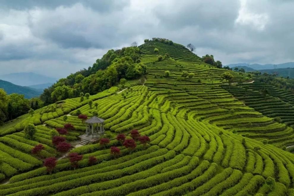 49c22d4f-4b98-4afa-aa22-5218cd4a5228.jpe