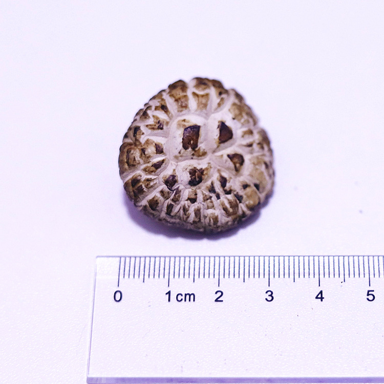 微信图片_2021040814343128_副本