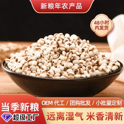 贵州薏米仁新货真空袋装新鲜农家杂粮红豆薏米茶用料小意仁米批发