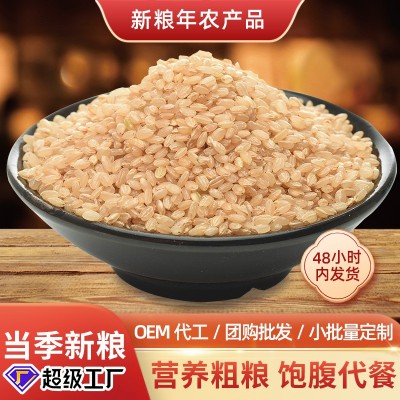 糙米真空包装散装新货粗粮纤维健身饱腹糙米饭团带馅五谷杂粮原料图2
