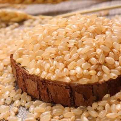 糙米真空包装散装新货粗粮纤维健身饱腹糙米饭团带馅五谷杂粮原料