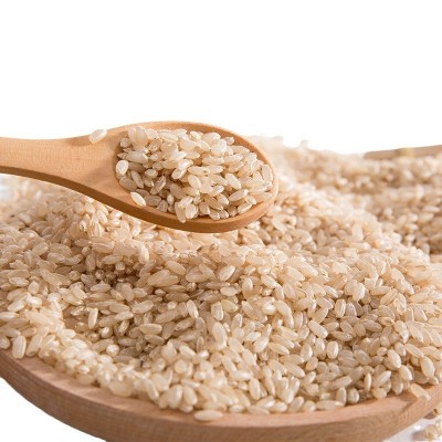 糙米真空包装散装新货粗粮纤维健身饱腹糙米饭团带馅五谷杂粮原料图5