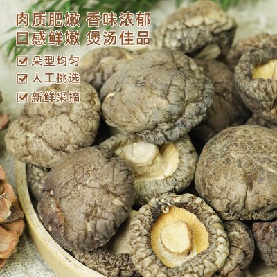香菇干货200g袋装批发肉厚无根新鲜香菇煲汤食材菌菇农家蘑菇新货图2
