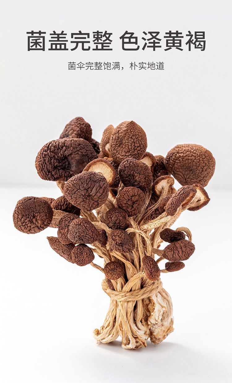 4ffd0941-60d1-4c9d-8629-85e21904cc77.jpe