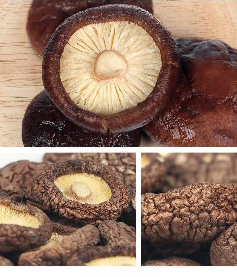 5fc6a604-baa5-4911-b271-0c0142a696e9.jpe