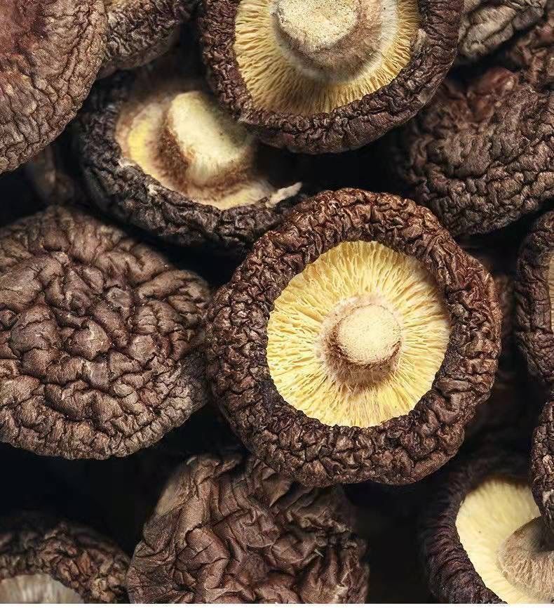 79c76721-a677-4bc3-9b93-87d989ece1dc.jpe