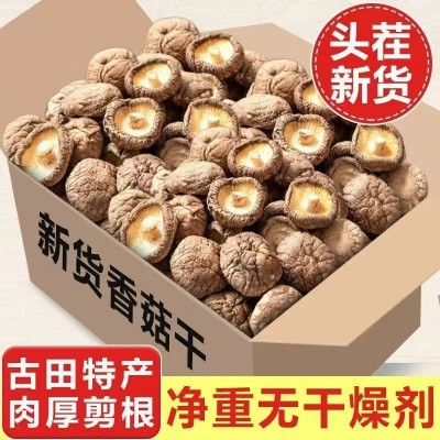 净重古田香菇干货新货肉厚农家土特产香菇脚精选煲汤干蘑菇菌菇冬图3
