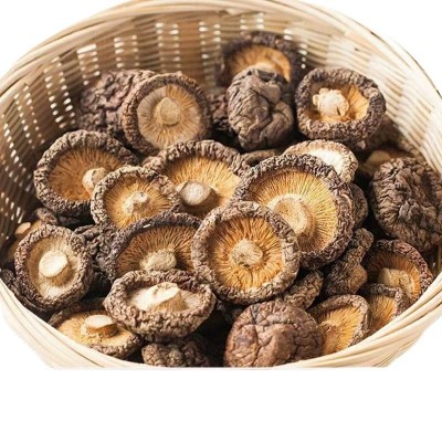 净重古田香菇干货新货肉厚农家土特产香菇脚精选煲汤干蘑菇菌菇冬图4