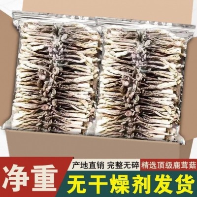 鹿茸菌无熏硫鹿茸菇新干香菇干货鹿茸菇煲汤食材干货鹿茸菇图2