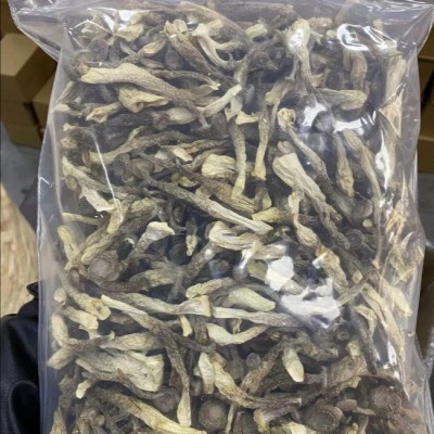 鹿茸菌无熏硫鹿茸菇新干香菇干货鹿茸菇煲汤食材干货鹿茸菇图4