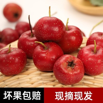 红心甜红子山楂新鲜山楂果山里红金星水果冰糖葫芦农家糖葫芦图3