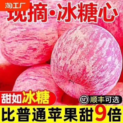 原产地发陕西洛川红富士苹果新鲜水果当季冰糖心一级脆甜整箱包邮