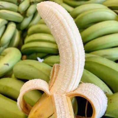 威廉斯香蕉9斤现砍现发新鲜应季水果老幼皆宜图4
