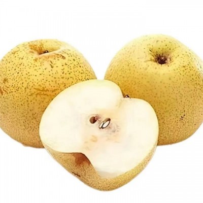 砀山酥梨青皮梨子安徽新鲜5斤当季皇冠梨梨鸭梨雪梨翠冠梨一件图4