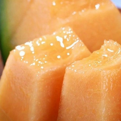 海南西州蜜 哈密瓜 晓蜜25号 西州蜜 香甜蜜瓜 新鲜水果图4