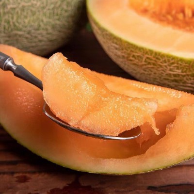 海南西州蜜 哈密瓜 晓蜜25号 西州蜜 香甜蜜瓜 新鲜水果图3