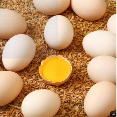 农家谷物鸡蛋新鲜农家散养土鸡蛋柴鸡蛋笨鸡蛋鲜鸡蛋现捡稻壳包装图4