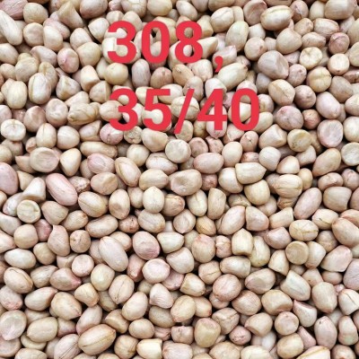 粒红皮花生带壳新鲜货晒干红衣花生生花生带壳500克散装图3