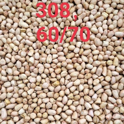 粒红皮花生带壳新鲜货晒干红衣花生生花生带壳500克散装图2